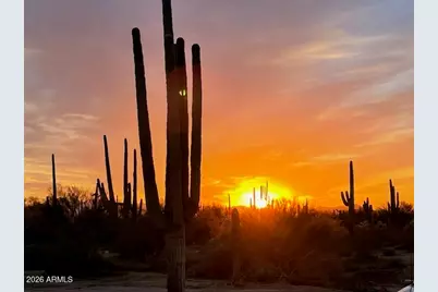 0000 Sandra -- #-, Marana, AZ 85658 - Photo 1
