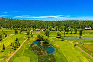 290 N Lodge Dr, Munds Park, AZ 86017 - Photo 2