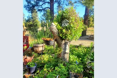1220 E Caribou Road, Munds Park, AZ 86017 - Photo 24