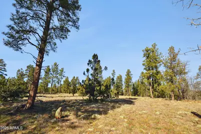 1220 E Caribou Road, Munds Park, AZ 86017 - Photo 40