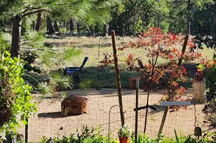 1220 E Caribou Rd, Munds Park, AZ 86017 - Photo 24