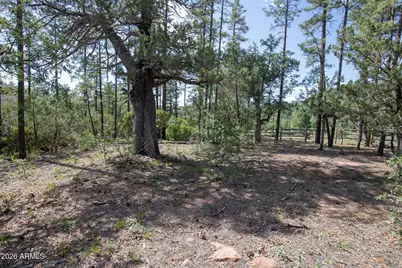 243 N Wild Oak Drive, Payson, AZ 85541 - Photo 42