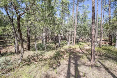 243 N Wild Oak Drive, Payson, AZ 85541 - Photo 44