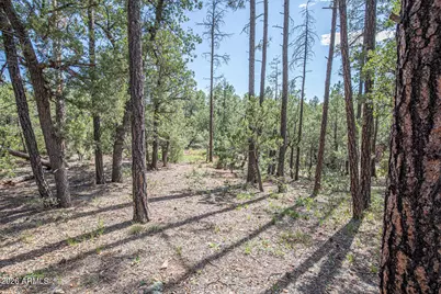 243 N Wild Oak Drive, Payson, AZ 85541 - Photo 40
