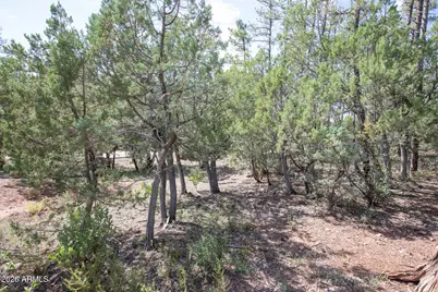 243 N Wild Oak Drive, Payson, AZ 85541 - Photo 38
