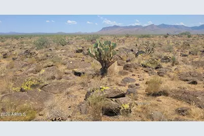 Lot 55 S Joe Hancock Trail #55, Congress, AZ 85332 - Photo 6