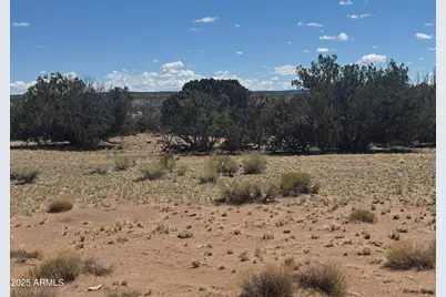 Lot 752 Woodland Valley Ranch -- #752, Saint Johns, AZ 85936 - Photo 8