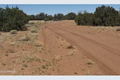 Lot 752 Woodland Valley Ranch -- #752, Saint Johns, AZ 85936 - Photo 12