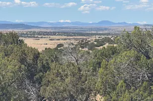Lot 752 Woodland Valley Ranch --, Saint Johns, AZ 85936 - Photo 1