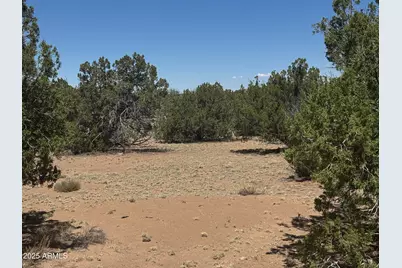 Lot 752 Woodland Valley Ranch -- #752, Saint Johns, AZ 85936 - Photo 10