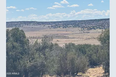 Lot 752 Woodland Valley Ranch -- #752, Saint Johns, AZ 85936 - Photo 4