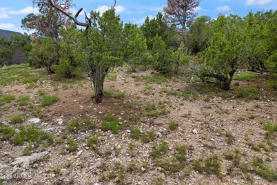 3469 Carefree Road #121, Heber, AZ 85928 - Photo 16