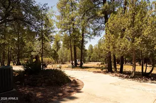 5634 W Solitude Trail, Pine, AZ 85544 - Photo 46