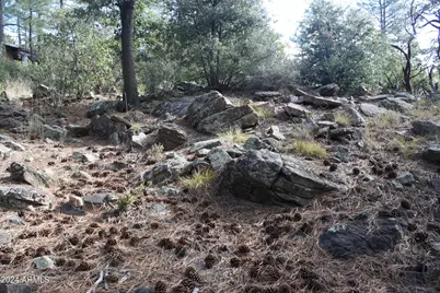 000 N Sundown Lane Lane #104, Pine, AZ 85544 - Photo 10