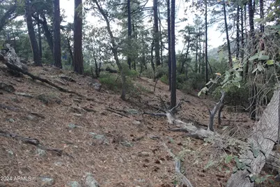 000 N Sundown Lane Lane #104, Pine, AZ 85544 - Photo 14