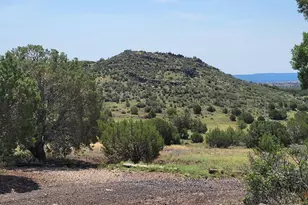 50400 N Starship Trail, Ash Fork, AZ 86320 - Photo 18