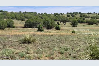 50400 N Starship Trail, Ash Fork, AZ 86320 - Photo 14
