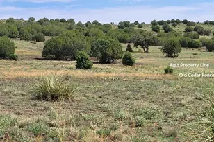 50400 N Starship Trail, Ash Fork, AZ 86320 - Photo 14
