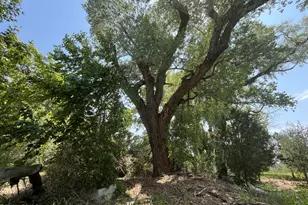 3710 E White Cap Dr, Camp Verde, AZ 86322 - Photo 1