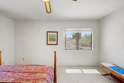 3220 E Lone Coyote Trail, Tucson, AZ 85739 - Photo 50