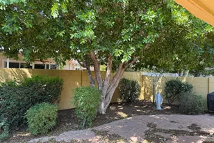 7738 E Northland Dr, Scottsdale, AZ 85251 - Photo 4
