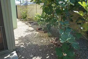 6532 W Lupine Ave, Glendale, AZ 85304 - Photo 22