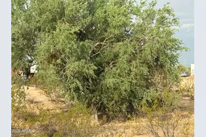 0 E Cactus Flower Drive #C and D, Florence, AZ 85132 - Photo 28