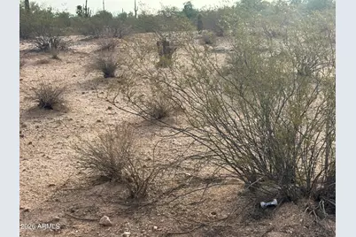 0 E Cactus Flower Drive #C and D, Florence, AZ 85132 - Photo 2