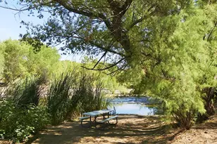13954 E Carefree Hwy, Scottsdale, AZ 85262 - Photo 100