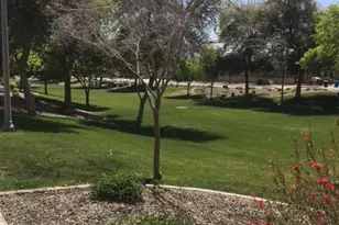 6446 W Constance Way, Laveen, AZ 85339 - Photo 8