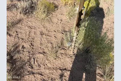 0 Coyote Run #577, Saint Johns, AZ 85936 - Photo 8