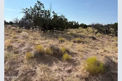 0 Coyote Run #577, Saint Johns, AZ 85936 - Photo 2