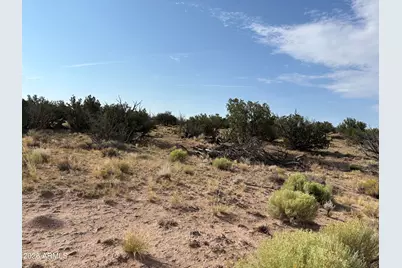 0 Coyote Run #577, Saint Johns, AZ 85936 - Photo 6