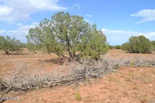 1771 W Ridgeview Rnch Dr, Snowflake, AZ 85937 - Photo 10