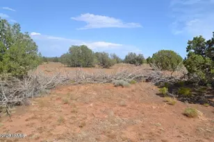 1771 W Ridgeview Rnch Dr, Snowflake, AZ 85937 - Photo 14