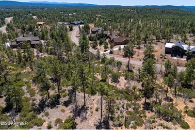 6007 Rim Road #066, Lakeside, AZ 85929 - Photo 4