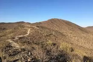 27810 N Silverado Ranch Rd, Peoria, AZ 85383 - Photo 76