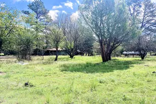 45985 N Az Hwy 288 --, Young, AZ 85554 - Photo 4