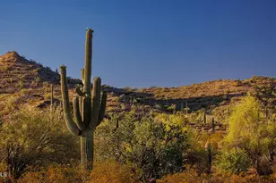 31551 N Gold Field Rd, San Tan Valley, AZ 85144 - Photo 2