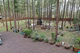 174 Elk Dr, Lakeside, AZ 85929 - Photo 6