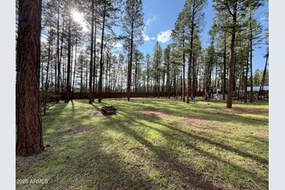 174 Elk Drive, Lakeside, AZ 85929 - Photo 42