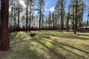174 Elk Dr, Lakeside, AZ 85929 - Photo 42
