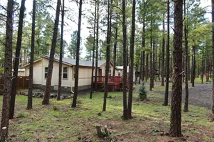 174 Elk Dr, Lakeside, AZ 85929 - Photo 4