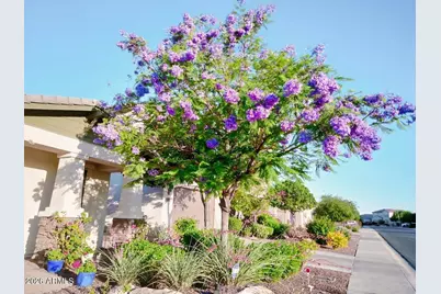 10113 W Angels Lane, Peoria, AZ 85383 - Photo 6