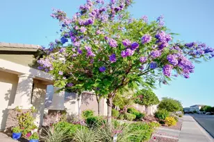 10113 W Angels Ln, Peoria, AZ 85383 - Photo 6