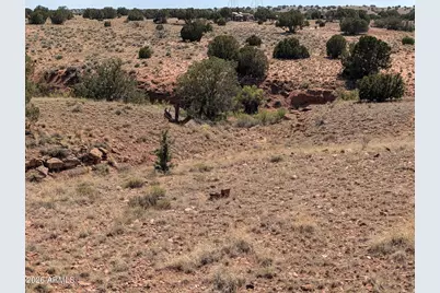 9 N9117 -- #360, Concho, AZ 85924 - Photo 52