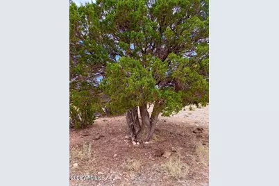 3153 E Judy Drive #213, Williams, AZ 86046 - Photo 10