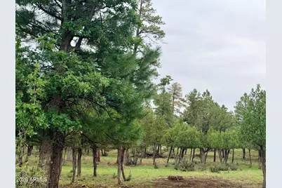 4517 Durango Drive #374, Happy Jack, AZ 86024 - Photo 8
