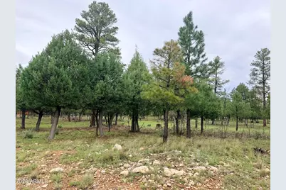 4517 Durango Drive #374, Happy Jack, AZ 86024 - Photo 6