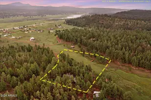 36 N County Road 2147 --, Alpine, AZ 85920 - Photo 66